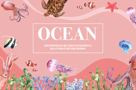 海洋生物