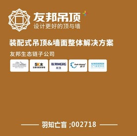 友邦吊顶