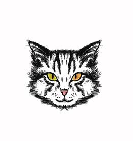 猫咪