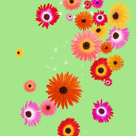 水彩花朵花瓣挂画装饰画