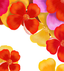 水彩花朵花瓣挂画装饰画