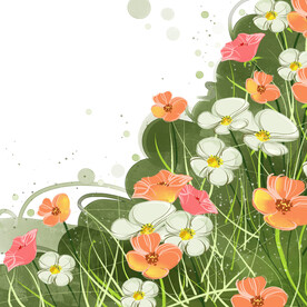 唯美花卉挂画装饰画