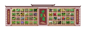 中草药介绍文化墙