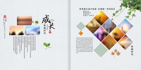 成长