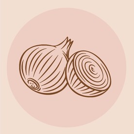 手绘洋葱