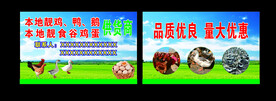 鸡鸭鹅 名片
