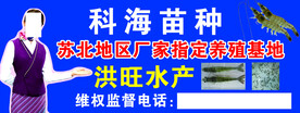 虾苗