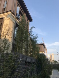 别墅洋房建筑 