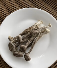 云南菌菇