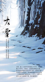 节气大雪