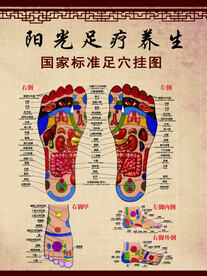 足疗海报  穴位图