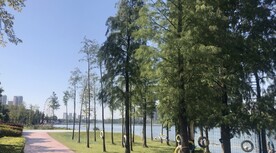 清远市飞来湖湿地公园湖岸摄影