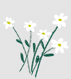 小雏菊
