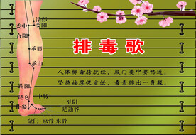 排毒歌