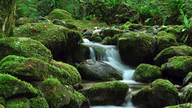 山水风光 自然风光 山水风景 