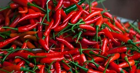 红辣椒