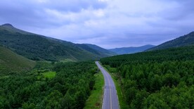 延伸的公路