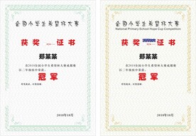 欧式简约获奖证书设计模板