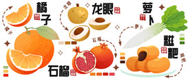 美食插画系列石榴