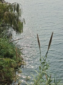 碧波荡漾