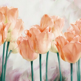 唯美花卉手绘花卉挂画装饰画