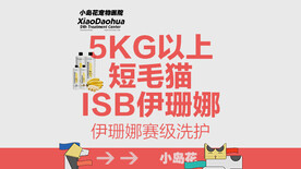 美团团购主图宠物店宠物医院