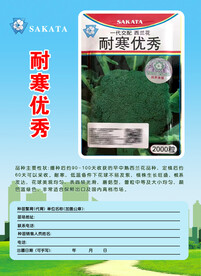 耐寒优秀