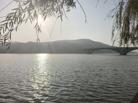 伊河