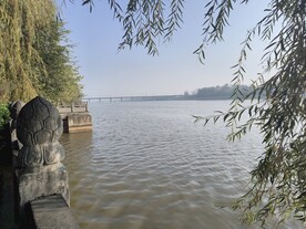 伊河
