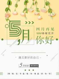 5月你好
