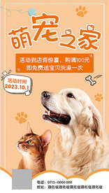 宠物海报