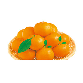 橙