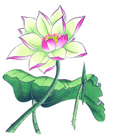 荷
