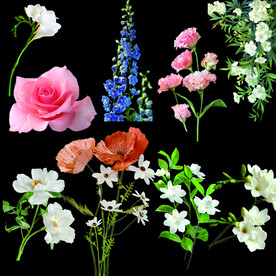 鲜花