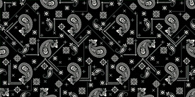 佩斯里花纹 腰果