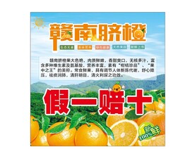 赣南脐橙