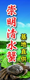 崇明清水蟹