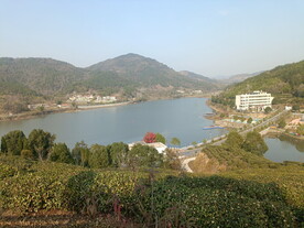 库区