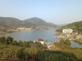 库区