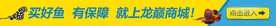 观赏鱼水族海报banner