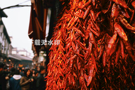 干辣椒