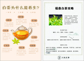 白茶攻略