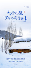 大雪海报