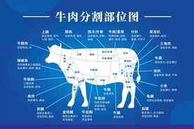 牛肉分割部位示意图