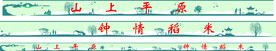 乡村围墙护栏文化