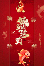 锦鲤驾到