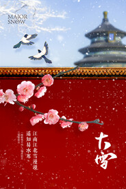 大雪飞机稿