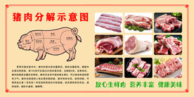 猪肉分解图