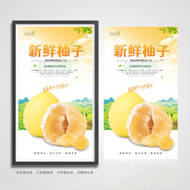 柚子海报