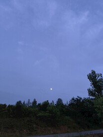 森林夜景